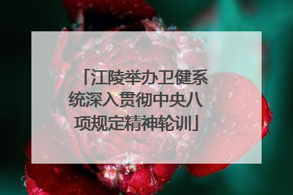 江陵举办卫健系统深入贯彻中央八项规定精神轮训