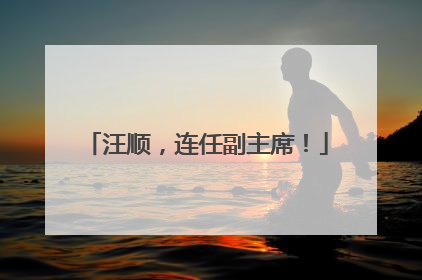汪顺，连任副主席！
