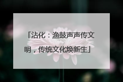 沾化：渔鼓声声传文明，传统文化焕新生