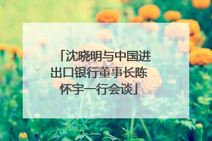 沈晓明与中国进出口银行董事长陈怀宇一行会谈