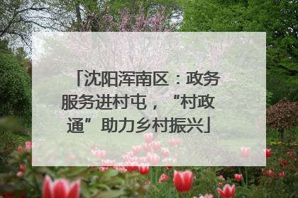 沈阳浑南区：政务服务进村屯，“村政通”助力乡村振兴