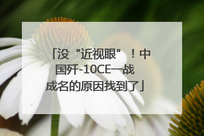没“近视眼”！中国歼-10CE一战成名的原因找到了
