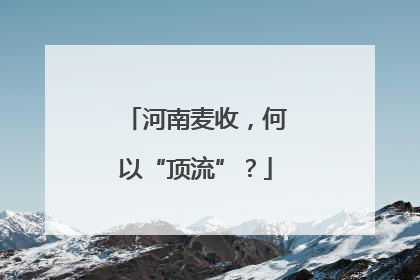 河南麦收，何以“顶流”？