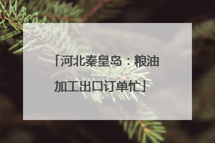 河北秦皇岛：粮油加工出口订单忙