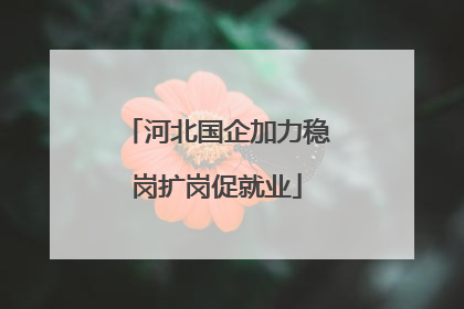 河北国企加力稳岗扩岗促就业