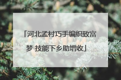 河北孟村巧手编织致富梦 技能下乡助增收