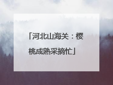 河北山海关：樱桃成熟采摘忙