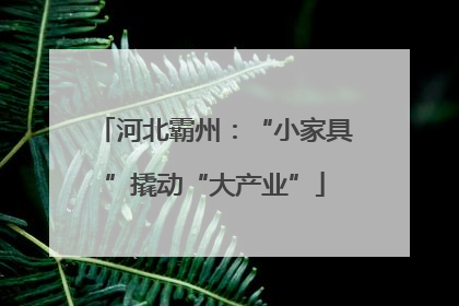 河北霸州：“小家具”撬动“大产业”