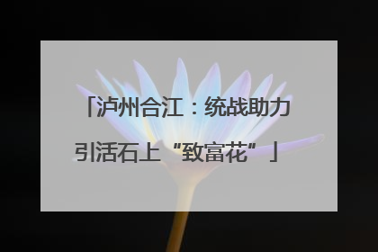 泸州合江：统战助力引活石上“致富花”