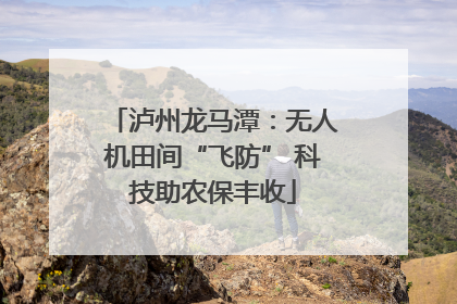 泸州龙马潭：无人机田间“飞防” 科技助农保丰收