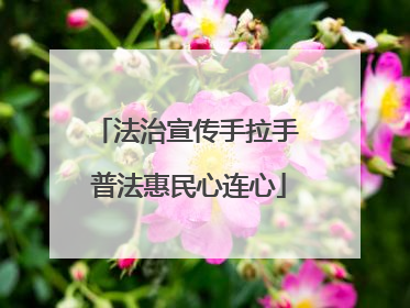 法治宣传手拉手 普法惠民心连心