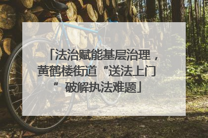 法治赋能基层治理，黄鹤楼街道“送法上门”破解执法难题