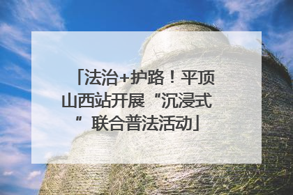 法治+护路！平顶山西站开展“沉浸式”联合普法活动