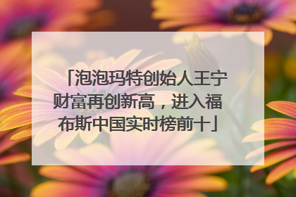 泡泡玛特创始人王宁财富再创新高，进入福布斯中国实时榜前十