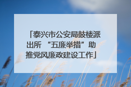 泰兴市公安局鼓楼派出所 “五廉举措”助推党风廉政建设工作