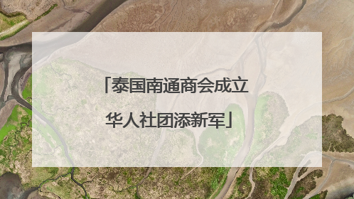 泰国南通商会成立 华人社团添新军