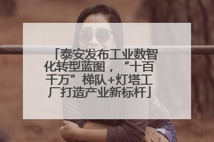 泰安发布工业数智化转型蓝图，“十百千万”梯队+灯塔工厂打造产业新标杆