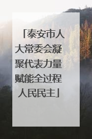 泰安市人大常委会凝聚代表力量赋能全过程人民民主