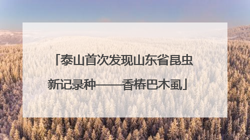 泰山首次发现山东省昆虫新记录种——香椿巴木虱