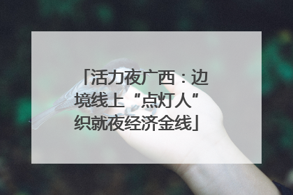 活力夜广西：边境线上“点灯人”织就夜经济金线