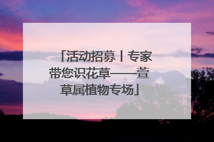 活动招募丨专家带您识花草——萱草属植物专场