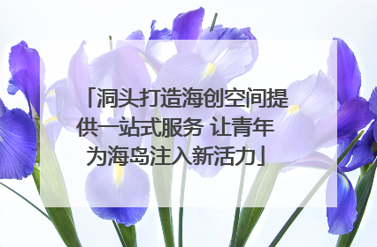 洞头打造海创空间提供一站式服务 让青年为海岛注入新活力