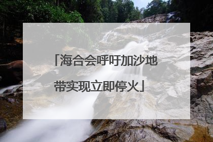 海合会呼吁加沙地带实现立即停火