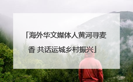 海外华文媒体人黄河寻麦香 共话运城乡村振兴