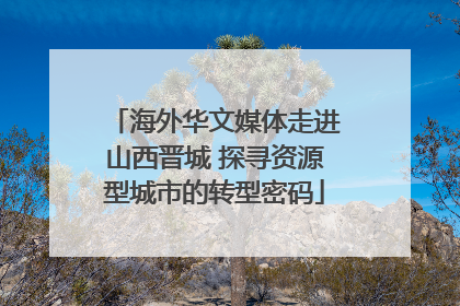 海外华文媒体走进山西晋城 探寻资源型城市的转型密码