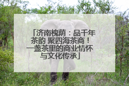济南槐荫：品千年茶韵 聚四海茶商！一盏茶里的商业情怀与文化传承