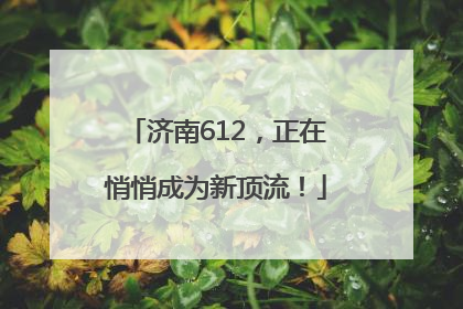 济南612，正在悄悄成为新顶流！