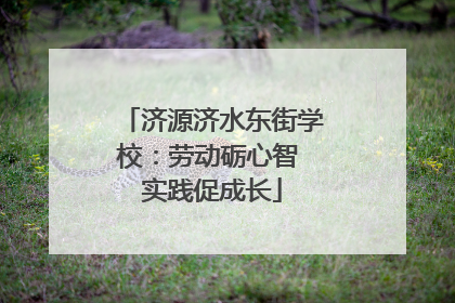 济源济水东街学校：劳动砺心智 实践促成长