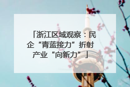 浙江区域观察：民企“青蓝接力”折射产业“向新力”