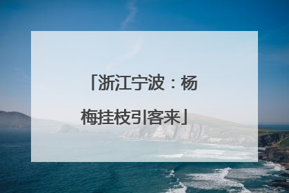 浙江宁波：杨梅挂枝引客来