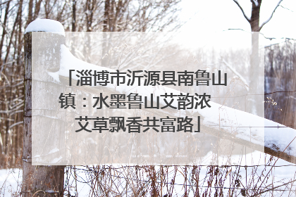 淄博市沂源县南鲁山镇：水墨鲁山艾韵浓 艾草飘香共富路