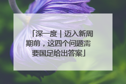 深一度｜迈入新周期前，这四个问题需要国足给出答案