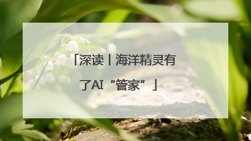 深读丨海洋精灵有了AI“管家”