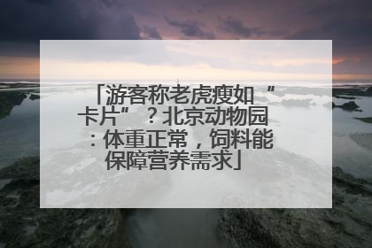 游客称老虎瘦如“卡片”？北京动物园：体重正常，饲料能保障营养需求