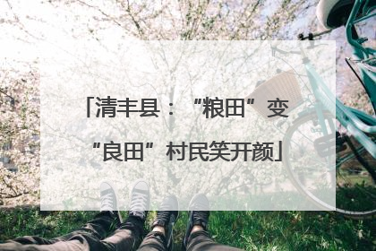 清丰县：“粮田”变“良田”村民笑开颜
