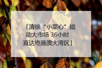 清徐“小菜心”撬动大市场 36小时直达粤港澳大湾区