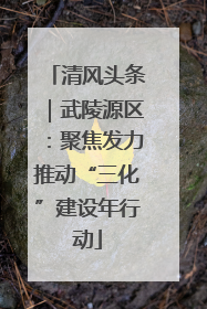 清风头条｜武陵源区：聚焦发力推动“三化”建设年行动