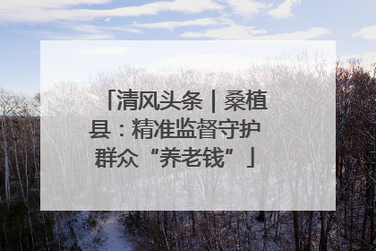 清风头条｜桑植县：精准监督守护群众“养老钱”