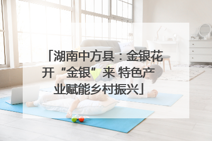 湖南中方县：金银花开“金银”来 特色产业赋能乡村振兴