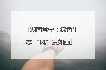 湖南常宁：绿色生态 “风”景如画
