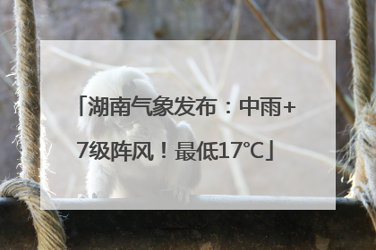 湖南气象发布：中雨+7级阵风！最低17℃