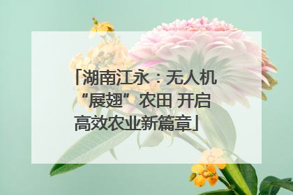湖南江永：无人机“展翅”农田 开启高效农业新篇章