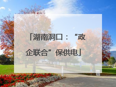 湖南洞口：“政企联合”保供电