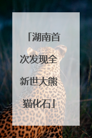 湖南首次发现全新世大熊猫化石