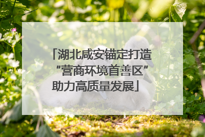 湖北咸安锚定打造“营商环境首善区”助力高质量发展