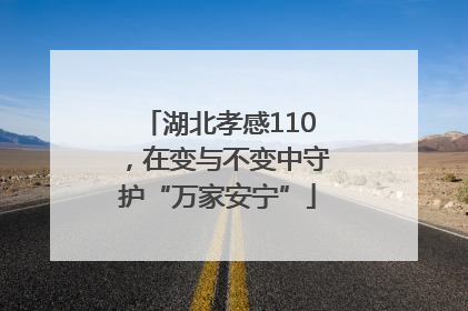 湖北孝感110，在变与不变中守护“万家安宁”